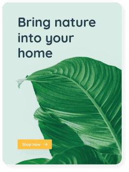 Nest - AliThemes